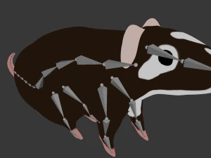 Rat 3D Model