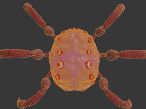 Brain monsten Modèle 3D
