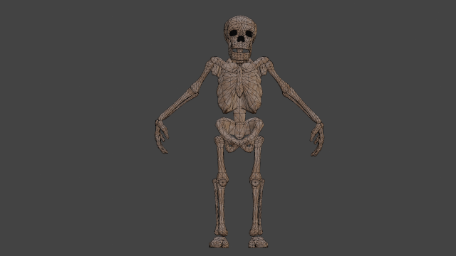 Skeleton 3Dモデル .c4d .max .obj .3ds .fbx .stl .blend 
