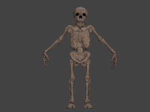 Skeleton 3D मॉडल
