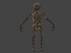 Skeleton 3Dモデル