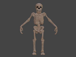İskelet 3D Model