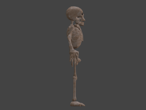 Skeleton 3Dモデル