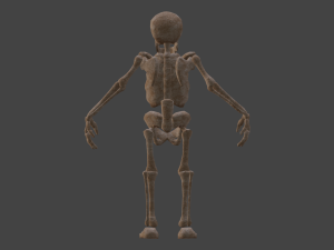 Skeleton 3Dモデル