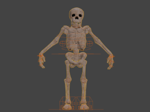 Skeleton 3Dモデル