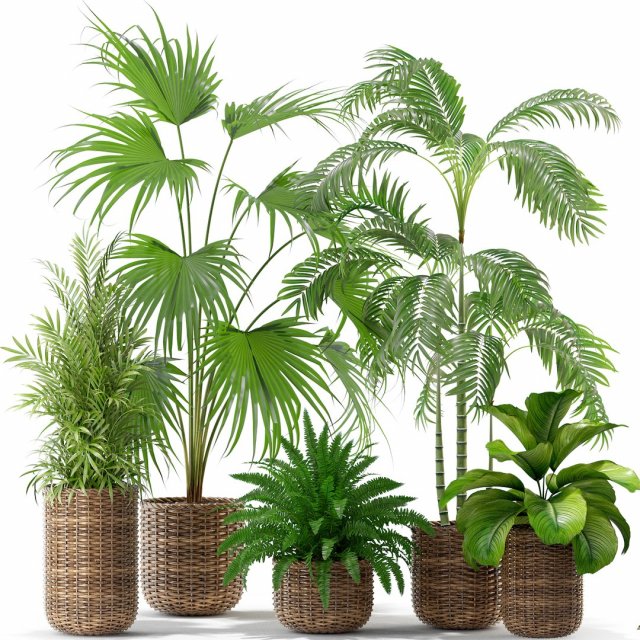 High-quality collection of flowerpots 3D Model .c4d .max .obj .3ds .fbx .stl .blend 