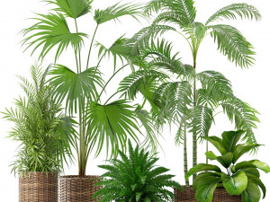 High-quality collection of flowerpots 3D 모델