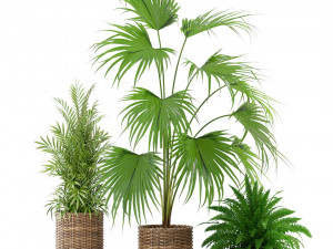 High-quality collection of flowerpots 3D Model