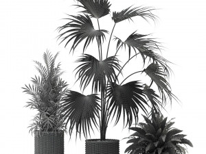 High-quality collection of flowerpots 3D Model