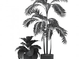 High-quality collection of flowerpots 3D Model