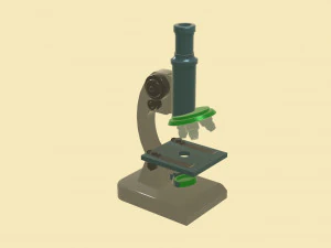 현미경 3D 모델