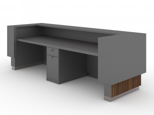 Reception 3D Model