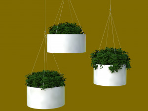Cloud - Pot Modèle 3D