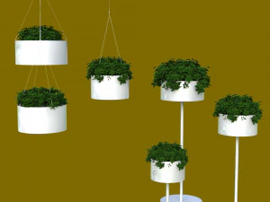 Cloud - Pot 3D Model