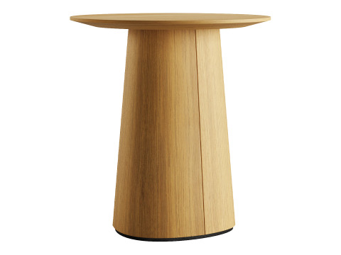 POV Coffee Table by TON 3D Model