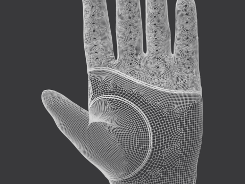 Gloves Model 3D