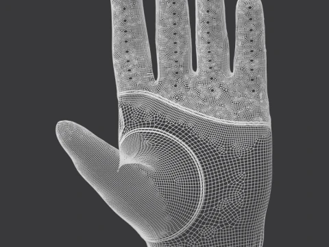 Gloves 3D Model