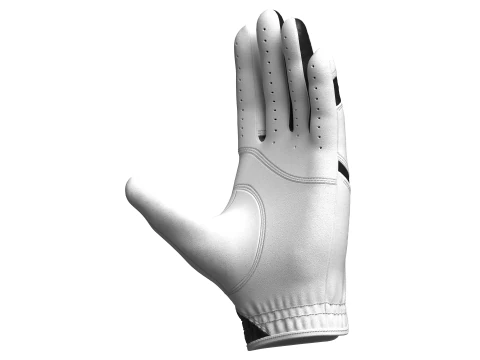 Gloves 3D Model