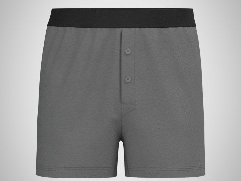 Male Boxer Shorts Modelo 3D