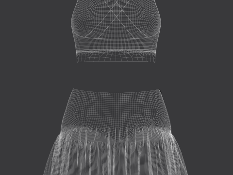 Top And Skirt Modelo 3D