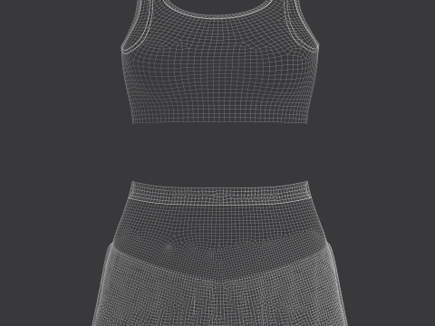 Top And Skirt Modelo 3D