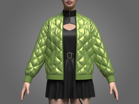 Female dress And Puffer Jacket 3D Model