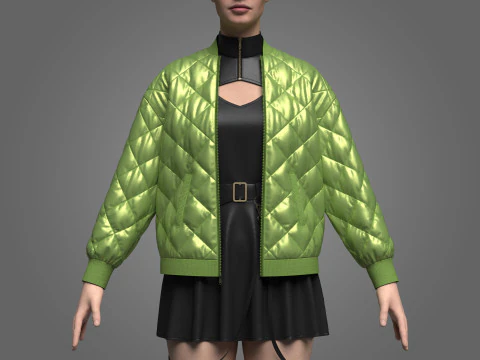 Abito femminile e piumino Modello 3D