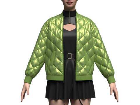 Female dress And Puffer Jacket 3D Model