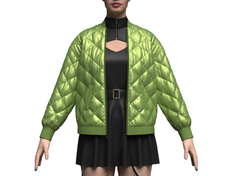 Female dress And Puffer Jacket Model 3D