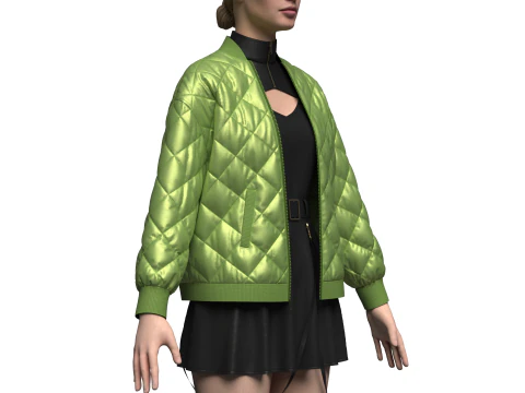 Female dress And Puffer Jacket 3D Model