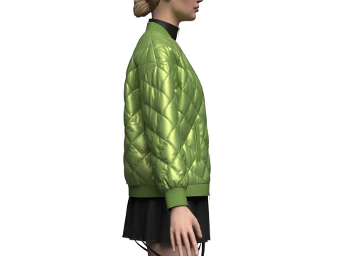 Female dress And Puffer Jacket 3D Model
