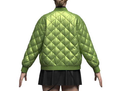 Female dress And Puffer Jacket 3D Model