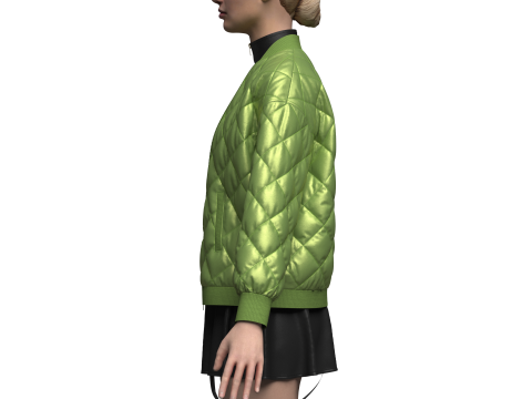 Female dress And Puffer Jacket Model 3D