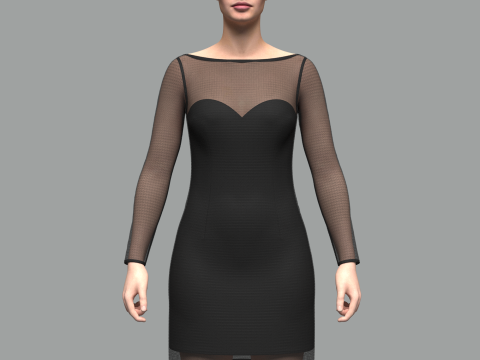 Female Mesh Dress 3D Model