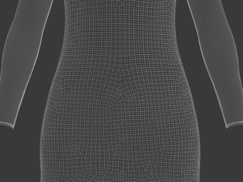 Female Mesh Dress Model 3D