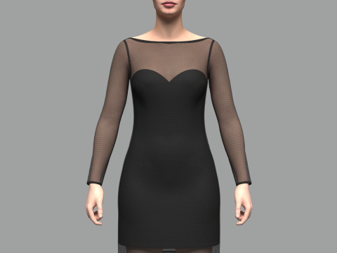 Female Mesh Dress Model 3D