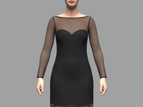 Female Mesh Dress 3D Model