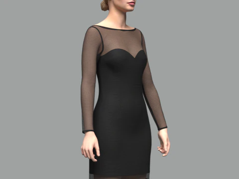 Female Mesh Dress 3D Model