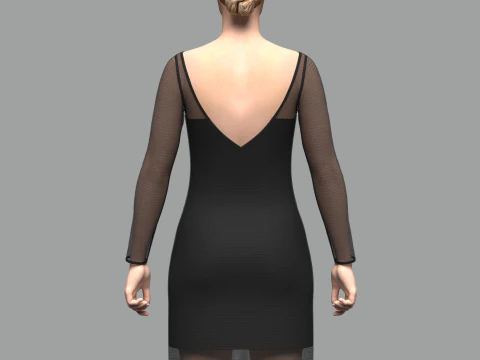 Female Mesh Dress 3D Model