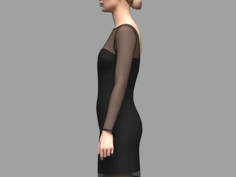 Female Mesh Dress 3D Model