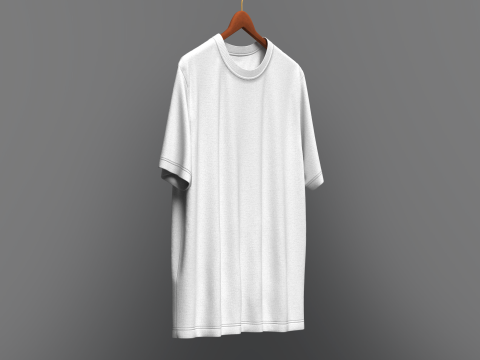 Men Regular Fit T-Shirt On Hanger 3D Model