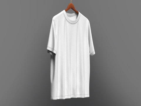 Men Regular Fit T-Shirt On Hanger 3D Model