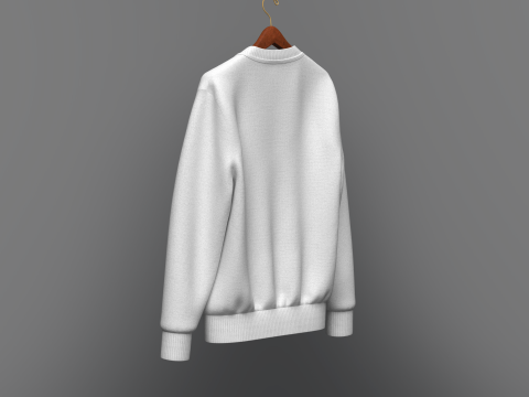 Men Sweatshirt On Hanger 3D मॉडल