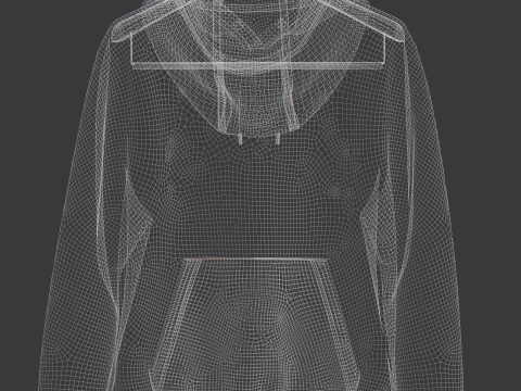 Moletom com capuz masculino com z&iacute;per frontal no cabide Modelo 3D