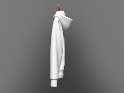Men Front Zip Hoodie On Hanger Modelo 3D