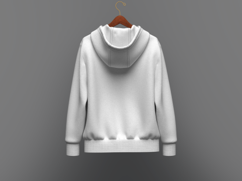 Hoodie On Hanger 3D 모델