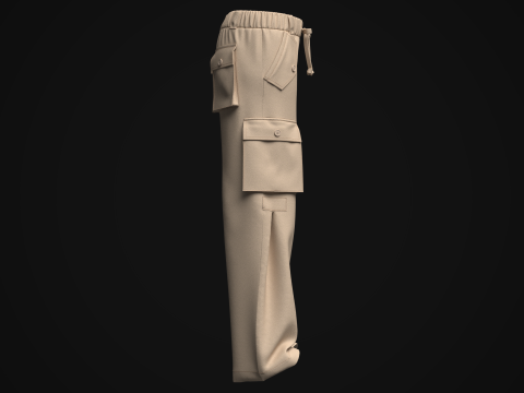 Women Cargo Pant Model 3D