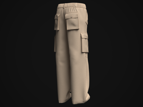 Women Cargo Pant Model 3D