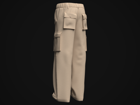 Women Cargo Pant Model 3D