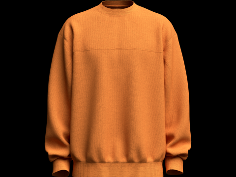 Mens Sweatshirt 3Dモデル